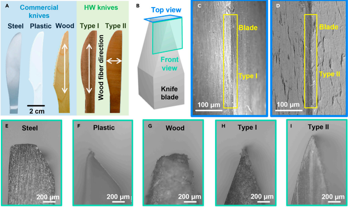 A Wooden Knife Sharper Than Steel? Scientists Say So. - The New